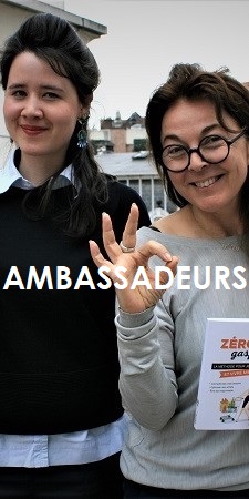 LES AMBASSADEURS