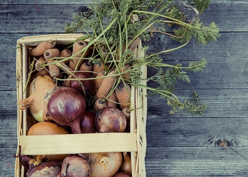 Épluchures de légumes