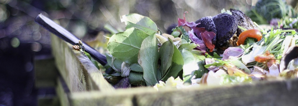 Fanes et tiges de légumes